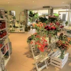 Immagine 3 azienda BERNHARD WEISSEN BLUEMEPARADIES AG Garten/Pflanzen in Visp VS