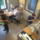 Unternehmen 8 Bild BERNINA NÄHCENTER ISELI AG Textil/Bekleidung am Spiez BE