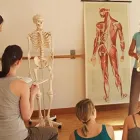 Entreprises 2 image BERUFSVERBAND FÜR GESUNDHEIT UND BEWEGUNG SCHWEIZ Vereine/Verbände/Organisationen dans Zürich ZH