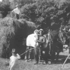 Entreprises 13 image BESTATTUNGSINSTITUT KOCH GMBH Soziale Einrichtungen/Fürsorge dans Wohlen Ag AG