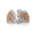 Entreprises 2 image BIJOUTERIE SONDEREGGER & CO AG Schmuck/Uhren/Edelmetallwaren dans Berne BE