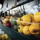 Entreprises 5 image BIO BOULEVARD - ÉPICERIE FINE À GENÈVE Nahrungs-/Genussmittel dans Genève GE