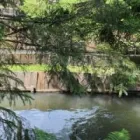 Entreprises 2 image BIO FORELLENZUCHT FLÜCKIGER Land-/Forstwirtschaft/Fischerei dans Uerkheim AG