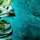 Unternehmen 1 Bild BIRCHER AG MALER- GIPSER Malerbetriebe am Suhr AG