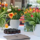 Entreprises 8 image BLAUE ENTE Hotel-/Gastronomiegewerbe dans Zurich ZH