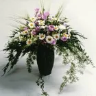 Entreprises 7 image BLUMEN DUFOUR AG Garten/Pflanzen dans Basel BL