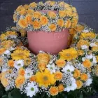 Unternehmen 3 Bild BLUMEN FISCHER GMBH Garten/Pflanzen am Zurich ZH