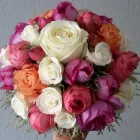 Unternehmen 2 Bild BLUMEN FISCHER GMBH Garten/Pflanzen am Zurich ZH