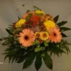 Entreprises 8 image BLUMEN JAKOB Garten/Pflanzen dans Zürich ZH