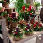 Unternehmen 4 Bild BLUMEN JAKOB Garten/Pflanzen am Wallisellen ZH