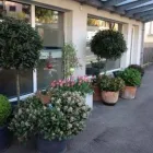 Unternehmen 2 Bild BLUMEN JAKOB Garten/Pflanzen am Wallisellen ZH