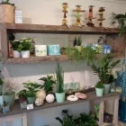 Unternehmen 3 Bild BLUMEN JAKOB Garten/Pflanzen am Wallisellen ZH