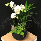 Entreprises 4 image BLUMENBOUTIQUE GOOS Nahrungs-/Genussmittel dans Zürich ZH