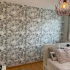 Entreprises 4 image BORHO AG Malerbetriebe dans Reinach Bl BI