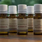 Immagine 1 azienda BOTANICUS SCHAFFHAUSEN AG Produktion und Vertrieb von Kosmetik, Körperpflegeartikel in Schaffhausen SH
