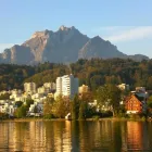 Unternehmen 6 Bild BUCHER CHARLES SEEFAHRTEN AG Transport/Verkehr/Tourismus am Reussbühl LU