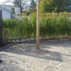Entreprises 9 image BURKIS GARTENPFLEGE AG Land-/Forstwirtschaft/Fischerei dans Birmensdorf Zh ZH