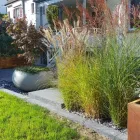 Entreprises 3 image BURKIS GARTENPFLEGE AG Land-/Forstwirtschaft/Fischerei dans Birmensdorf Zh ZH