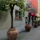 Immagine 5 azienda CASA TOLONE RISTORANTE - VINOTECA Weinkellereien in Lucerne LU