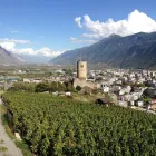 Unternehmen 5 Bild CAVE LA CINQUIÈME SAISON SA Weinkellereien am Martigny VS