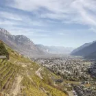 Unternehmen 4 Bild CAVE LA CINQUIÈME SAISON SA Weinkellereien am Martigny VS