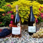 Unternehmen 5 Bild CAVES DE LA VILLE - NEUCHÂTEL Weinkellereien am Neuchâtel NE