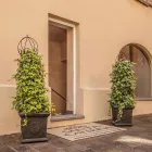 Immagine 13 azienda CENTRO ESTETICO SANTA CATERINA Ärzte in Lugano TI