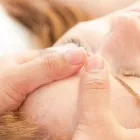 Immagine 3 azienda CHINA-MEDCARE - PRAXIS FÜR CHINESISCHE MEDIZIN Ärzte in Spiez BE