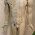 Immagine 15 azienda CHINATANG ACUPUNCTURE ET MÉDECINE CHINOISE Ärzte in Lausanne VD