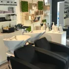 Immagine 8 azienda COIFFEUR HAIR AFFAIR Kosmetik/Körperpflege in Uitikon Waldegg ZH