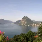 Entreprises 4 image COMISA SA Immobilien/Wohnen dans Castagnola TI