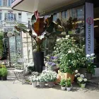 Unternehmen 2 Bild CRÉAFLORISTIQUE Garten/Pflanzen am Bern BE