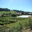 Unternehmen 1 Bild CRÉAFLORISTIQUE Garten/Pflanzen am Bern BE