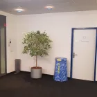 Immagine 5 azienda CT ACADEMY AG Bildung/Schulen/Wissenschaft/Forschung in Wallisellen ZH