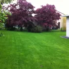 Entreprises 5 image DA SILVA GMBH Maschinenbau dans Oberentfelden AG