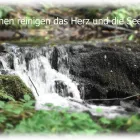 Entreprises 1 image DANIEL LOCHBRUNNER BESTATTUNGEN & THANATOLOGIE Umzugsunternehmen dans Spiez BE