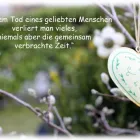 Entreprises 2 image DANIEL LOCHBRUNNER BESTATTUNGEN & THANATOLOGIE Umzugsunternehmen dans Spiez BE