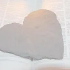 Entreprises 4 image DANIEL LOCHBRUNNER BESTATTUNGEN & THANATOLOGIE Umzugsunternehmen dans Spiez BE