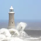 Entreprises 5 image DANIEL LOCHBRUNNER BESTATTUNGEN & THANATOLOGIE Umzugsunternehmen dans Spiez BE