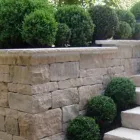 Immagine 8 azienda DANIEL OESCH GARTENBAU AG Land-/Forstwirtschaft/Fischerei in Spiez BE