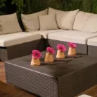 Immagine 2 azienda DANIEL OESCH GARTENBAU AG Land-/Forstwirtschaft/Fischerei in Spiez BE