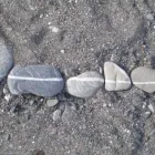 Immagine 1 azienda DANIEL OESCH GARTENBAU AG Land-/Forstwirtschaft/Fischerei in Spiez BE