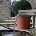 Immagine 7 azienda DANIEL OESCH GARTENBAU AG Land-/Forstwirtschaft/Fischerei in Spiez BE