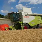 Entreprises 4 image DÄTWYLER AGRO GMBH Landwirtschaftliche Maschinen, Geräte dans Staffelbach AG