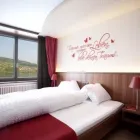 Immagine 6 azienda DELPHIN RESTAURANT UND SEEHOTEL Hotels in Meisterschwanden AG