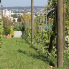 Entreprises 26 image DIE PRIVATGÄRTNER GMBH Wohnaccessoires Einzelhandel dans Zürich ZH