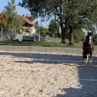 Entreprises 6 image DIE PRIVATGÄRTNER GMBH Wohnaccessoires Einzelhandel dans Zürich ZH