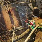 Entreprises 20 image DIE PRIVATGÄRTNER GMBH Wohnaccessoires Einzelhandel dans Zürich ZH