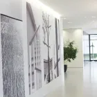 Entreprises 1 image DINVEST IMMOBILIEN AG Wohnungsmarkt dans Allschwil BL