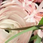Unternehmen 1 Bild DOFLORES Raumausstatter, Innenausstatter am Horgen ZH